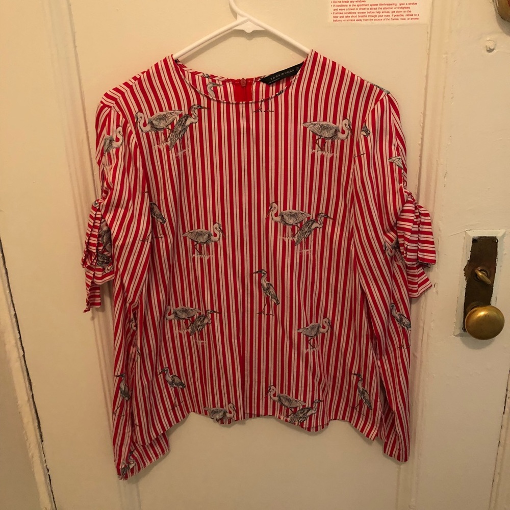 Zara Top